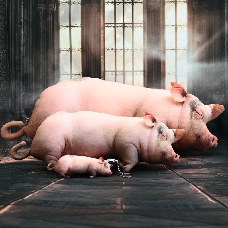 Almofada de Pelúcia de Porco R - Prank Toys avaliação e preço